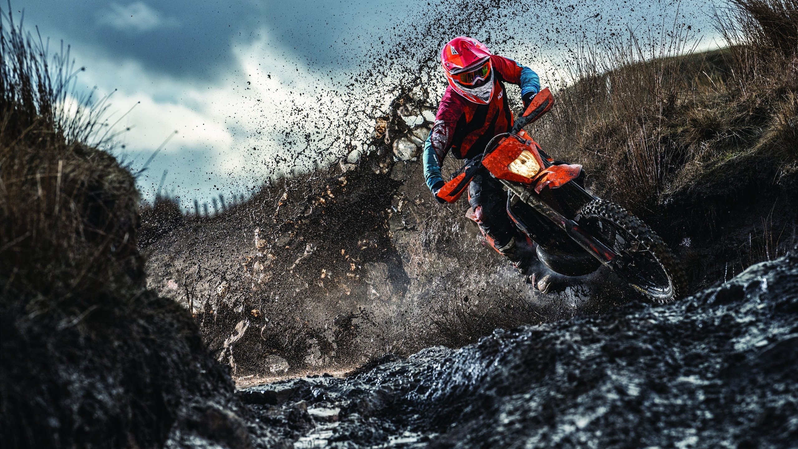 乒乓球赛场焦点！日本队对阵意大利队，连胜纪录继续刷新，球队势不可挡